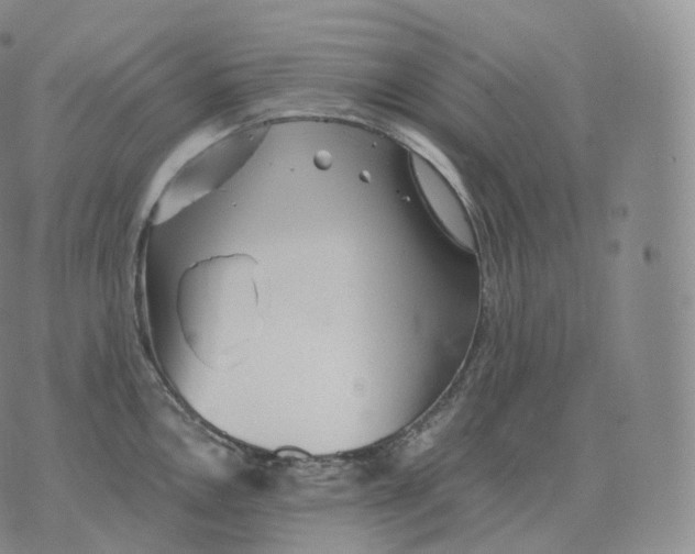 X0000076071146200610152221