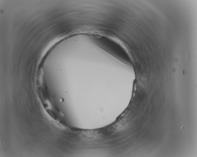 X0000076071147200610152221