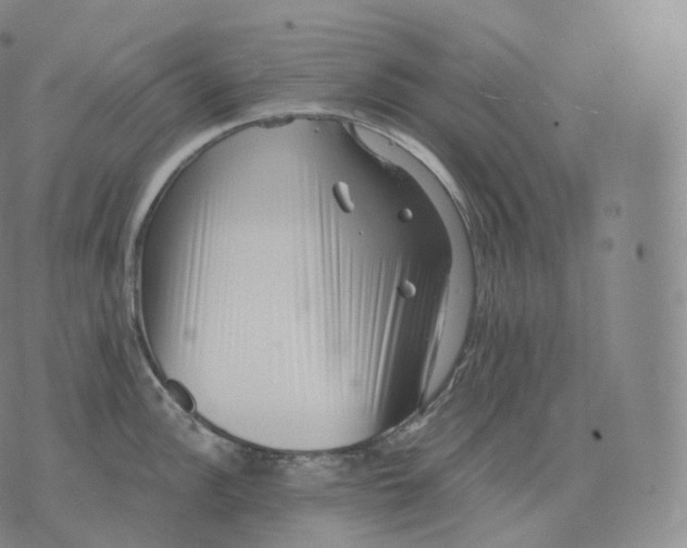 X0000076071148200610152221