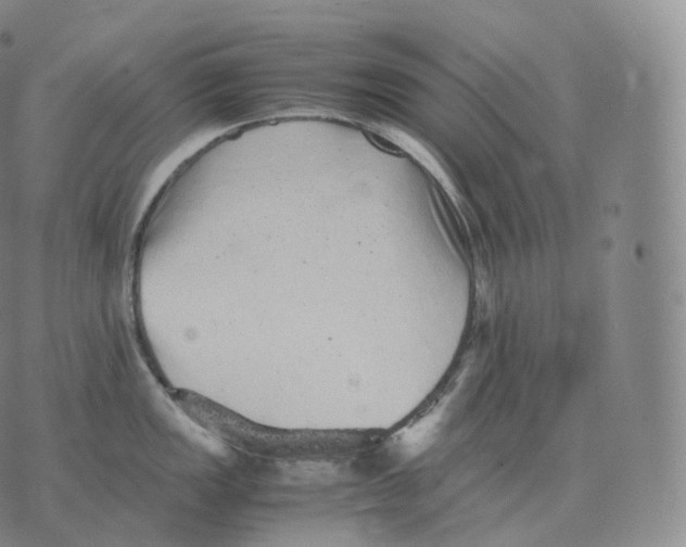 X0000076071149200610152221