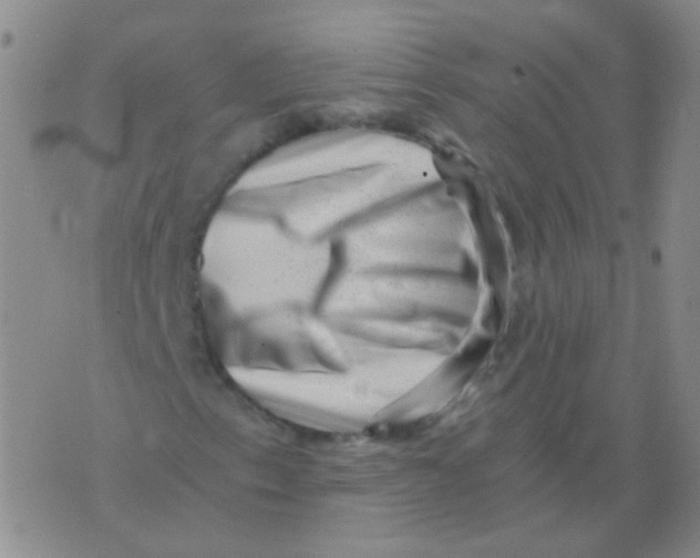 X0000076071153200610152220