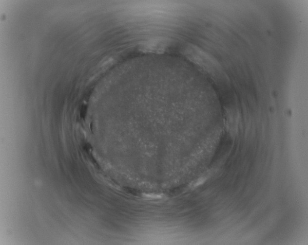 X0000076071154200610152220