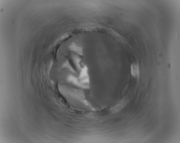 X0000076071155200610152220