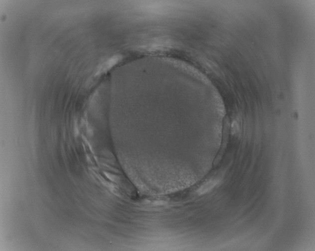 X0000076071156200610152220