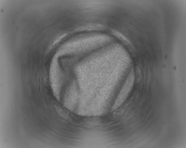 X0000076071158200610152220