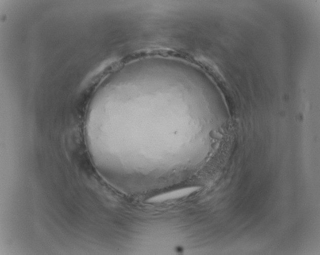 X0000076071159200610152220