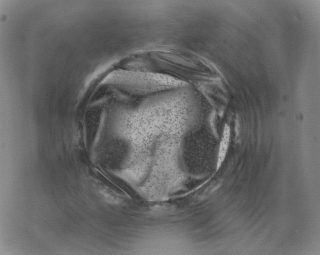 X0000076071160200610152220