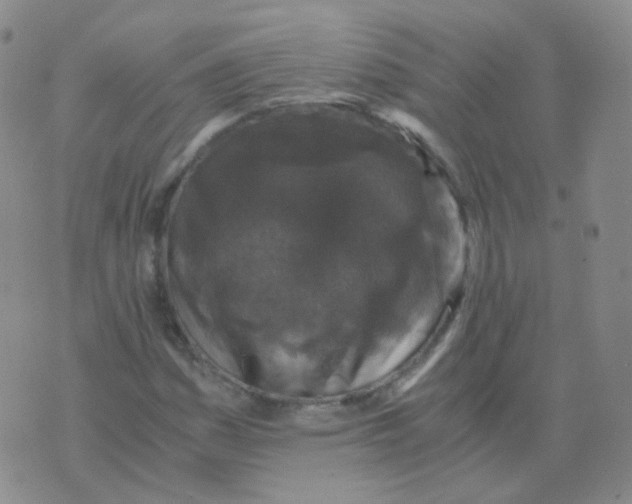 X0000076071161200610152220