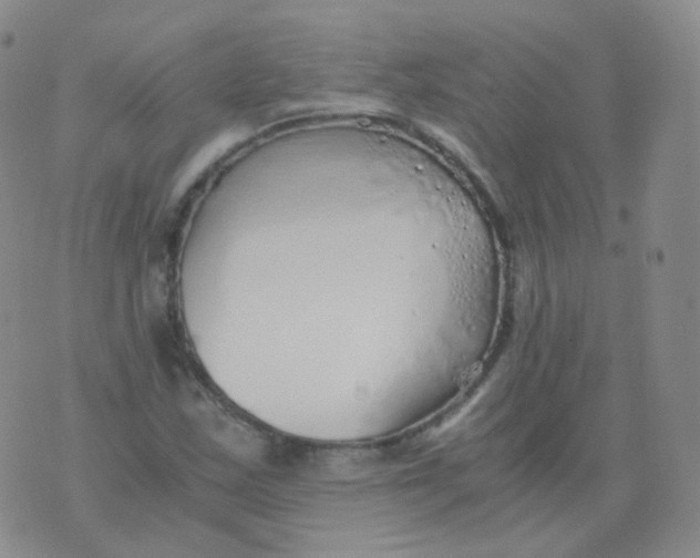 X0000076071163200610152220