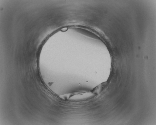 X0000076071167200610152220