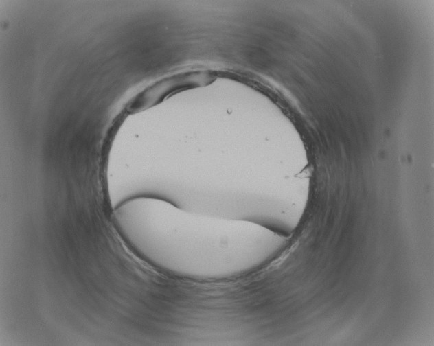 X0000076071168200610152220