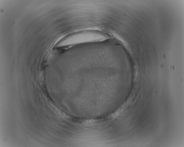 X0000076071169200610152220