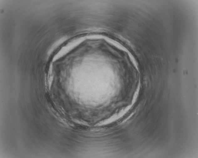 X0000076071171200610152220