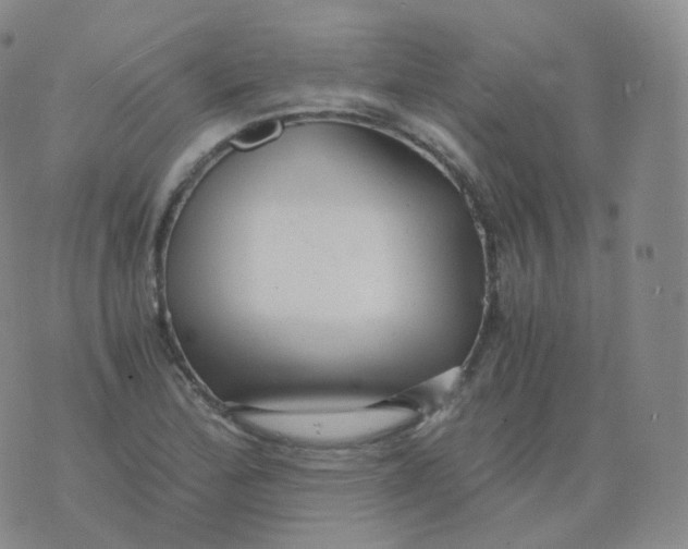 X0000076071172200610152220