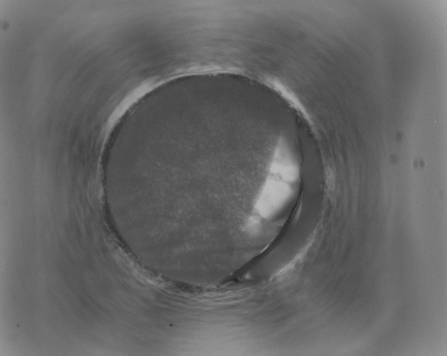 X0000076071173200610152220