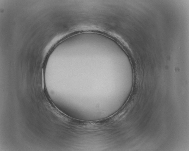 X0000076071175200610152220