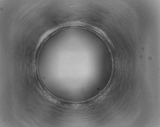 X0000076071176200610152220