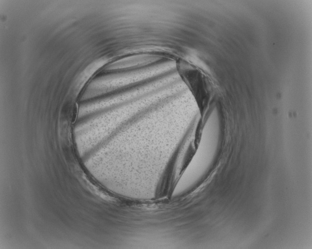 X0000076071177200610152220