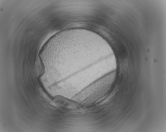 X0000076071178200610152220