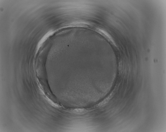 X0000076071180200610152220