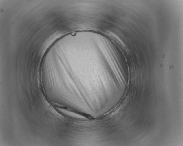 X0000076071182200610152220