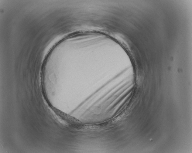 X0000076071183200610152220