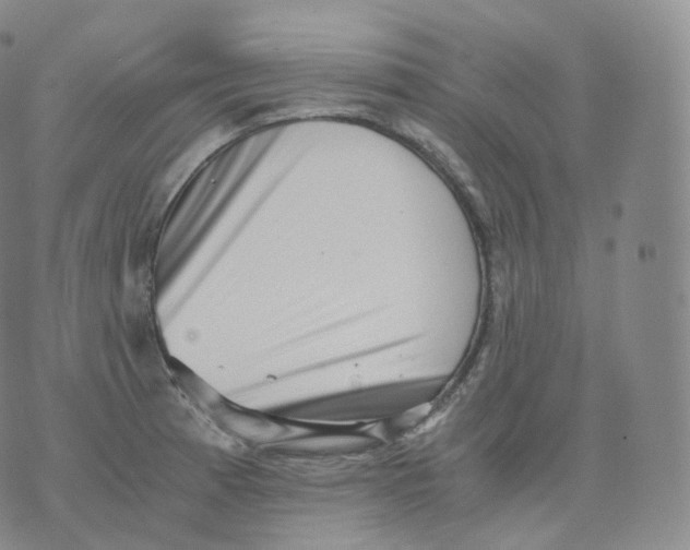 X0000076071185200610152220