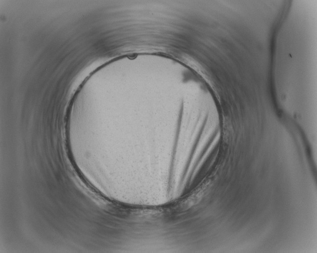 X0000076071187200610152220