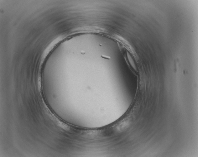 X0000076071188200610152220