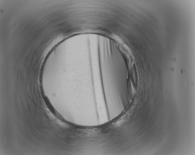 X0000076071189200610152220