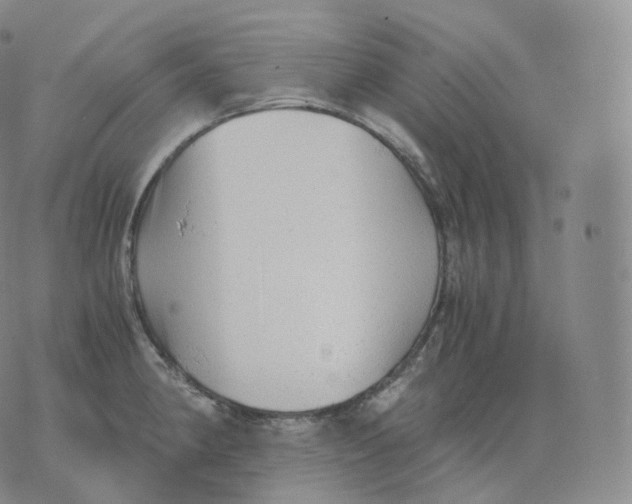 X0000076071190200610152220