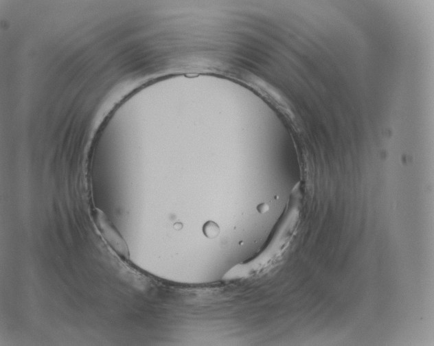 X0000076071192200610152220