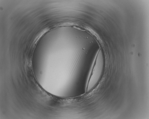 X0000076071193200610152220