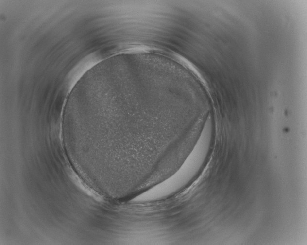 X0000076071194200610152220