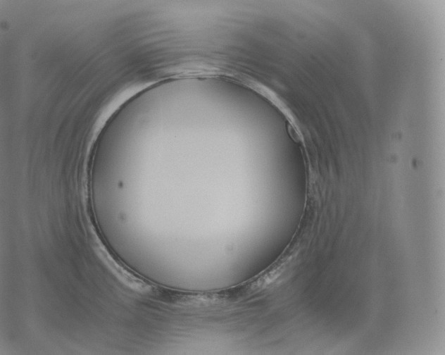 X0000076071195200610152220