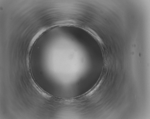 X0000076071196200610152220