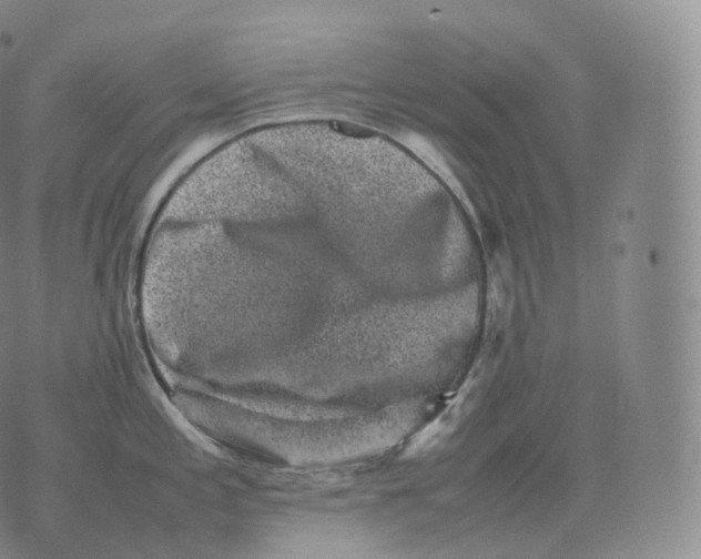 X0000076071197200610152220