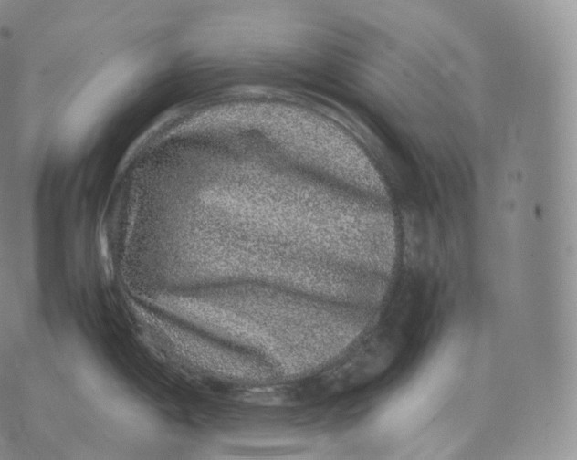 X0000076071198200610152220