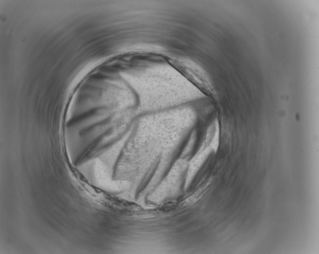 X0000076071199200610152220