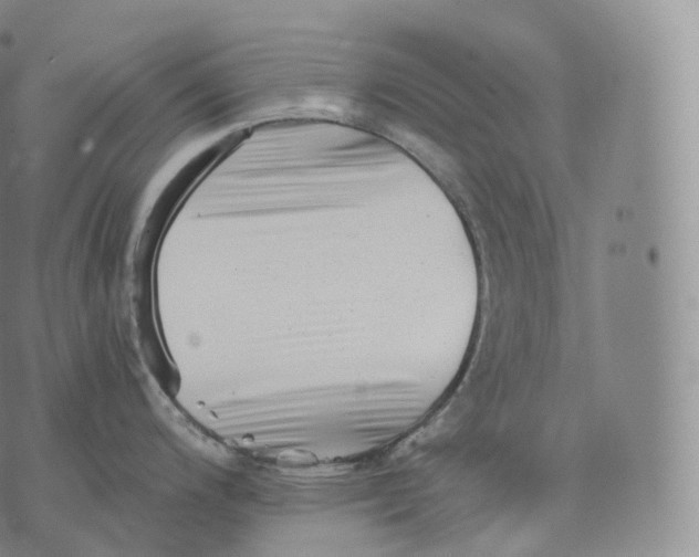 X0000076071200200610152220