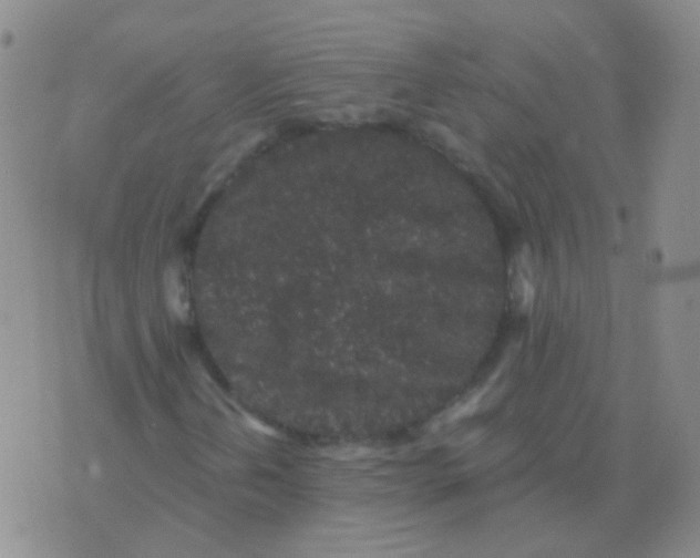 X0000076071202200610152219