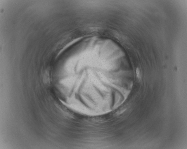 X0000076071203200610152219