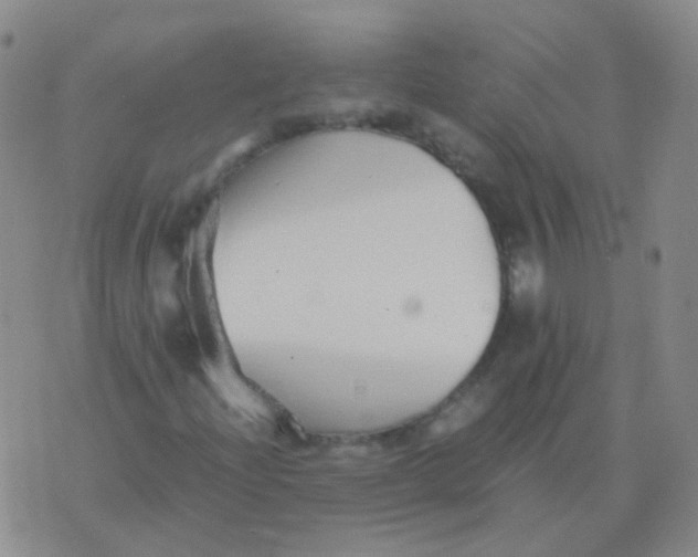 X0000076071204200610152219