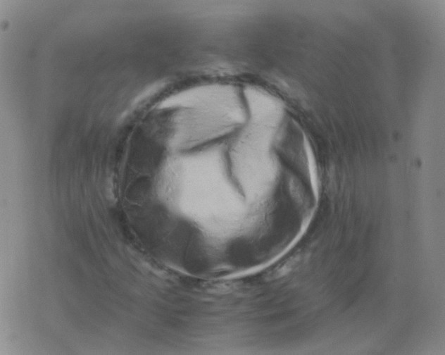 X0000076071205200610152219