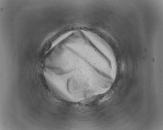 X0000076071207200610152219