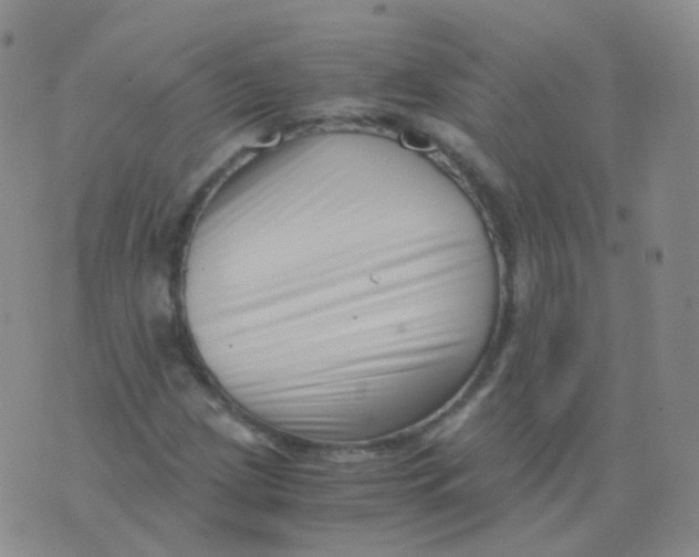 X0000076071209200610152219