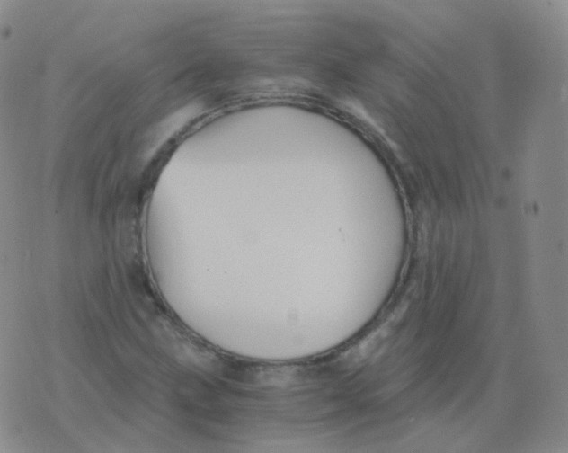 X0000076071211200610152219