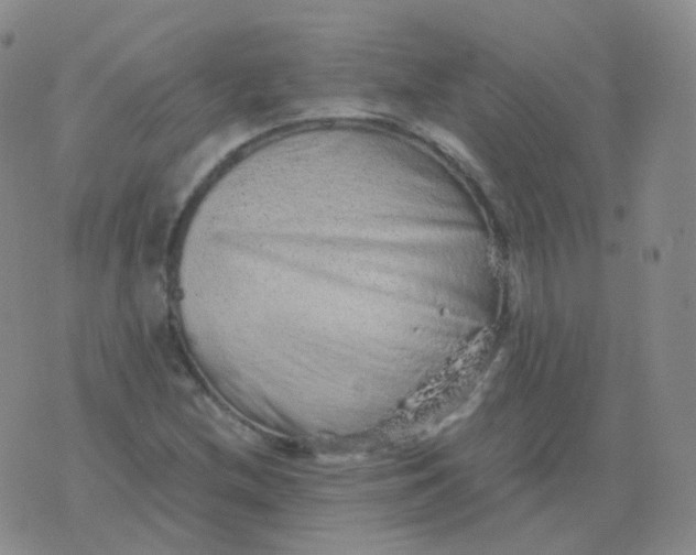 X0000076071212200610152219