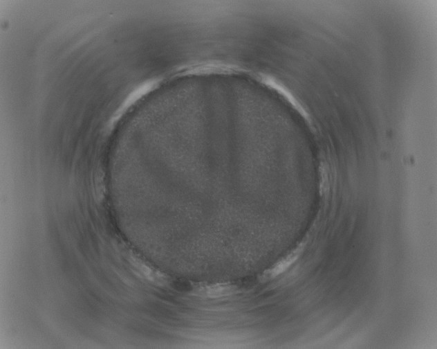 X0000076071213200610152219