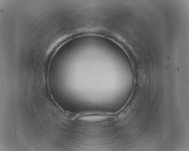 X0000076071214200610152219